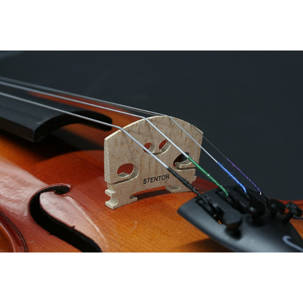 STENTOR バイオリン Student II 1/8 Violin - Stentor Student II Violin 1/8 – The Music Cart
