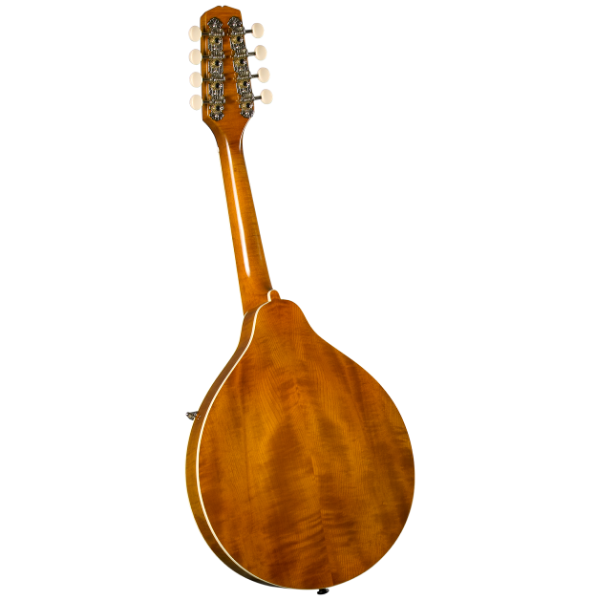 Geordie Mandoliniさん専用 Bourgeois M5O Black-Top Octave Mandolin #M2409031