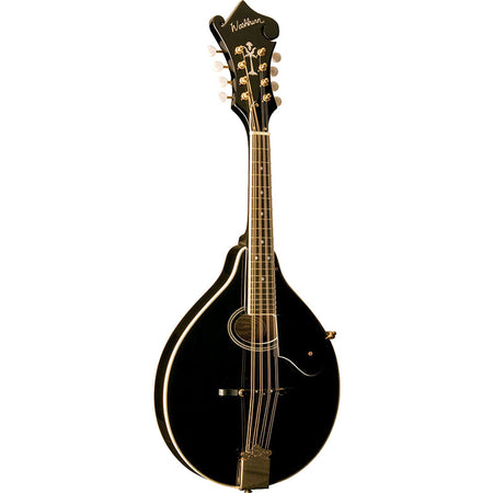 MAGNIFICENT MANDOLINS