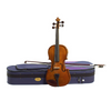 Violin - Stentor Student Violin 3/4 with Case