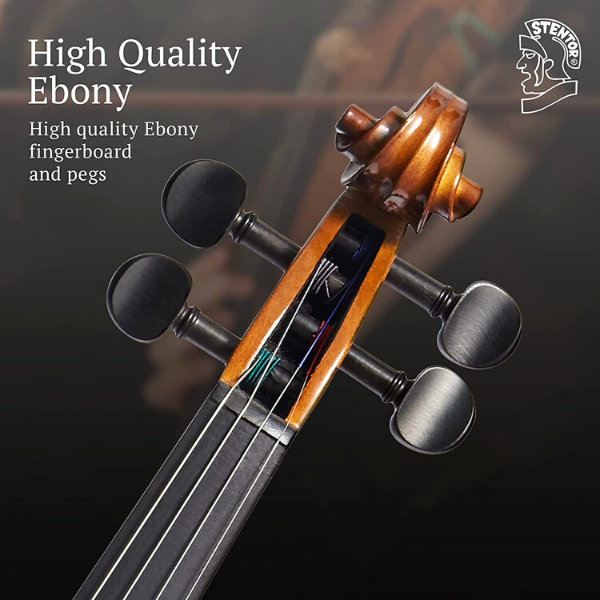 Violin - Stentor Graduate Violin 4/4 with Case