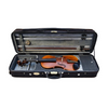 Violin - Stentor Arcadia Violin 4/4 with Case