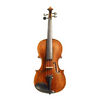 Violin - Stentor Arcadia Violin 4/4 with Case