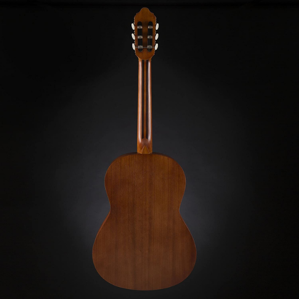Valencia 200 Series Acoustic Guitar