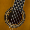 Valencia 200 Series Acoustic Guitar