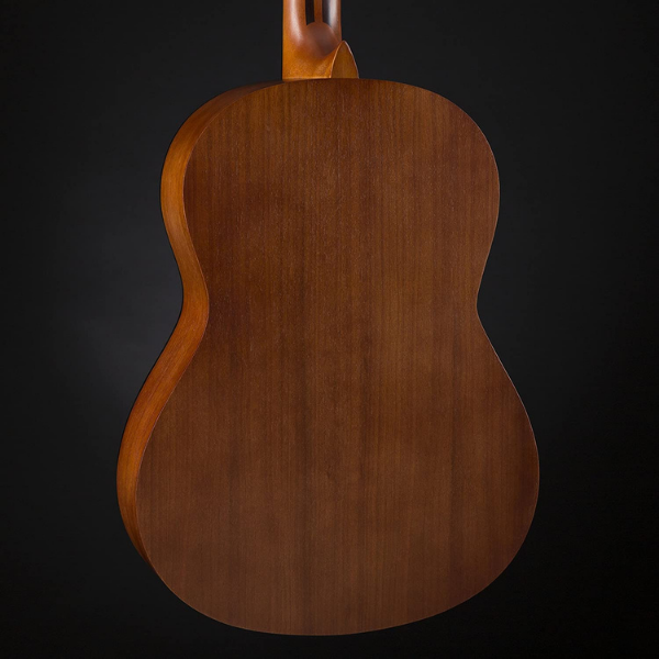 Valencia 200 Series Acoustic Guitar