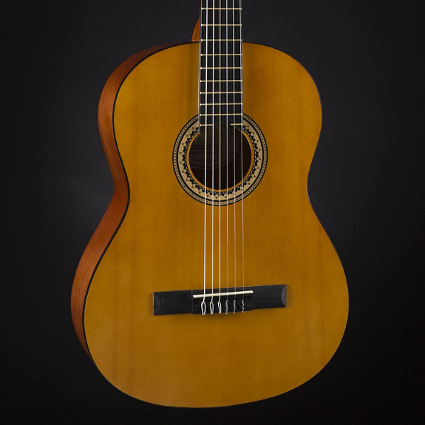 Valencia 200 Series Acoustic Guitar