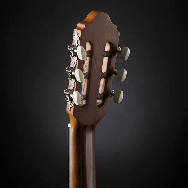 Valencia 200 Series Acoustic Guitar