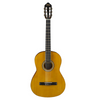 Valencia 200 Series Acoustic Guitar