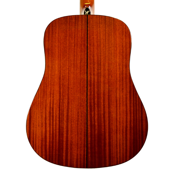 Washburn Guitars Apprentice 5 Series Folk Dreadnought with Hard Shell Case