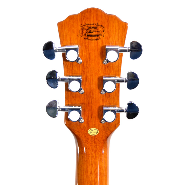 Washburn Guitars Apprentice 5 Series Folk Dreadnought with Hard Shell Case