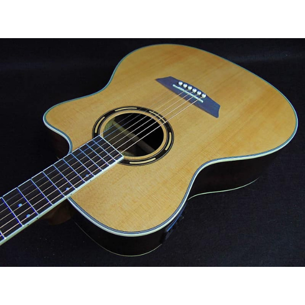 Washburn Guitars Walnut Grand Auditorium with Hard-Shell Case Acoustic-Electric Cutaway