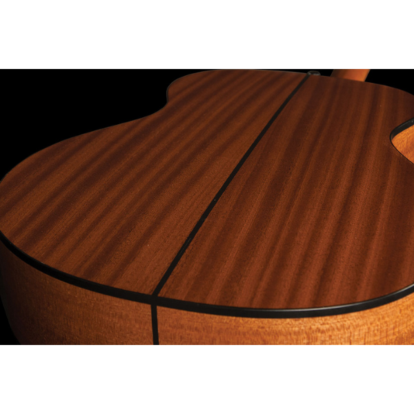 Washburn Guitars Grand Auditorium with Gig Bag