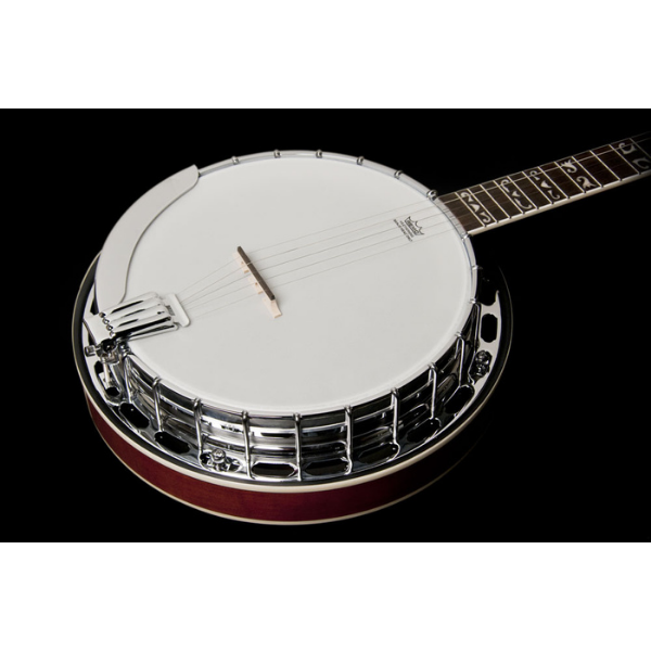 Washburn Guitars Five String Remo Head Banjo Tobacco Sunburst
