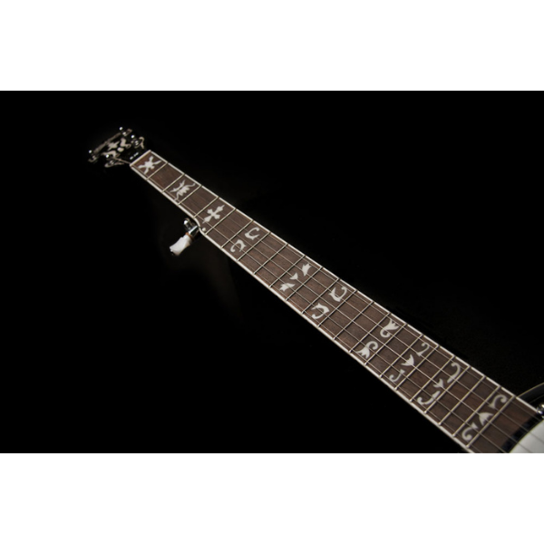 Washburn Guitars Five String Remo Head Banjo Tobacco Sunburst