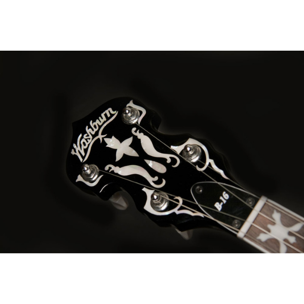 Washburn Guitars Five String Remo Head Banjo Tobacco Sunburst