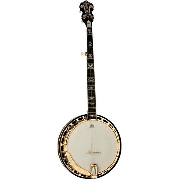 Washburn Guitars Five String Carved Banjo with Case
