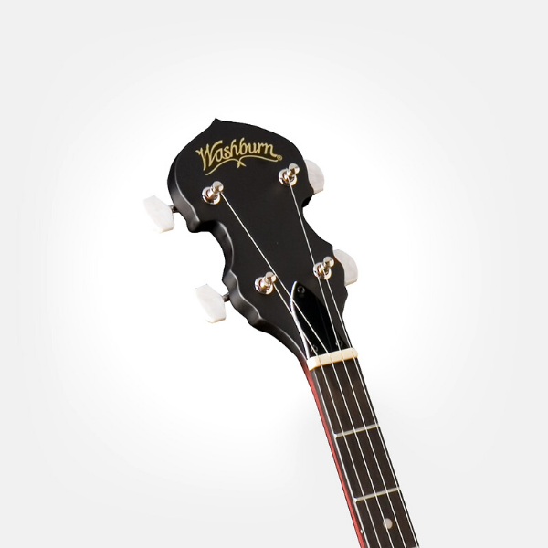 Washburn Guitars Banjo Pack with Gig Bag