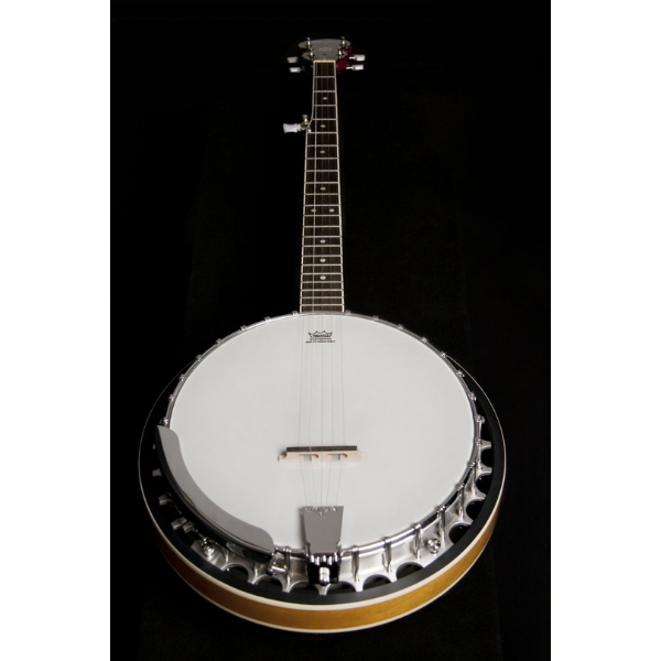 Washburn Guitars Five String Resonator Banjo Natural