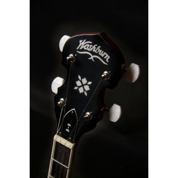 Washburn Guitars Five String Resonator Banjo Natural