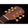 Washburn Elegante Bella Tono Studio Acoustic Guitar