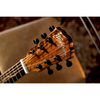 Washburn VITE S9V Bella Tono Studio Cutaway Acoustic Electric Guitar Gloss Charcoal Burst