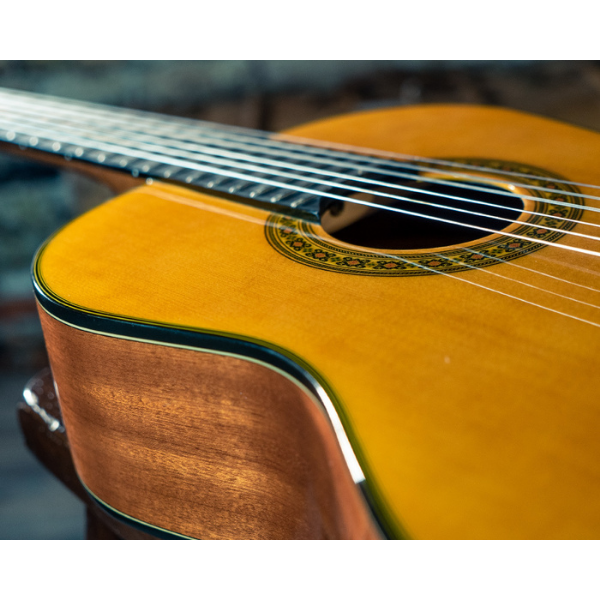 Washburn Classical Acoustic Guitar