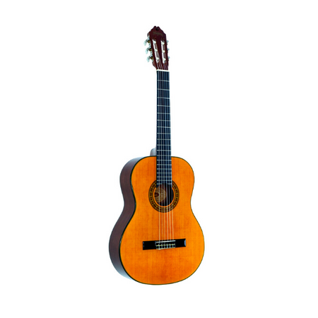 Washburn Classical Acoustic Guitar