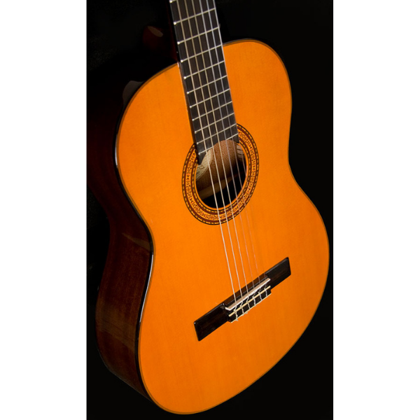 Washburn C5 Classical Acoustic Guitar