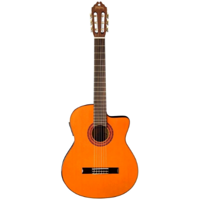 Washburn Classical Cutaway Acoustic Guitar