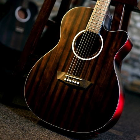 Washburn-Auditorium Body W/ Cutaway Deep Forest Ebony Ace