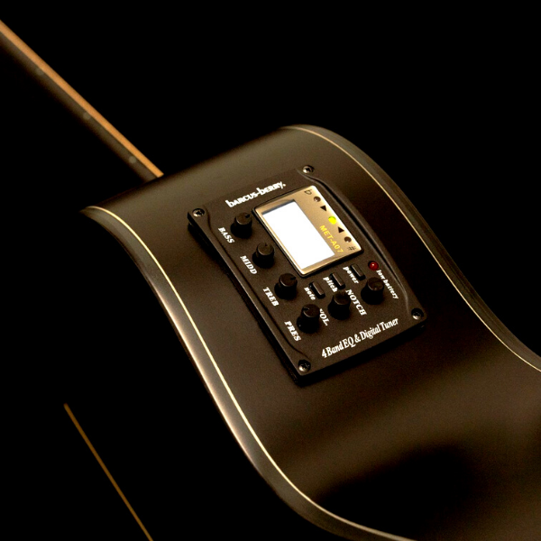 Washburn-Auditorium Body W/ Cutaway Deep Forest Ebony Ace