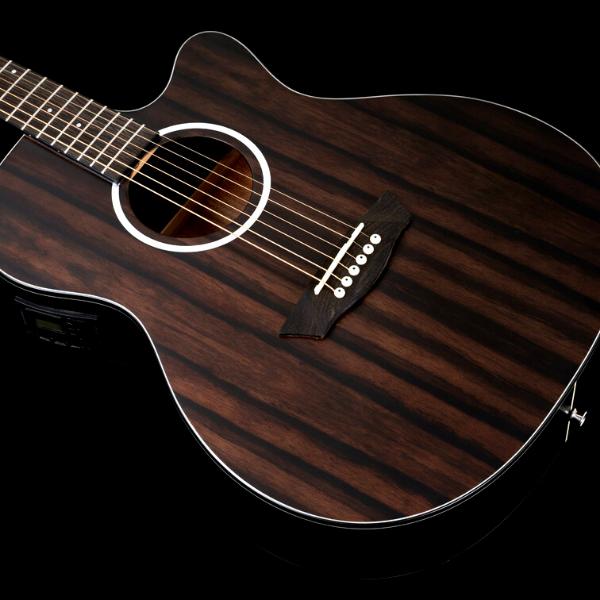 Washburn-Auditorium Body W/ Cutaway Deep Forest Ebony Ace