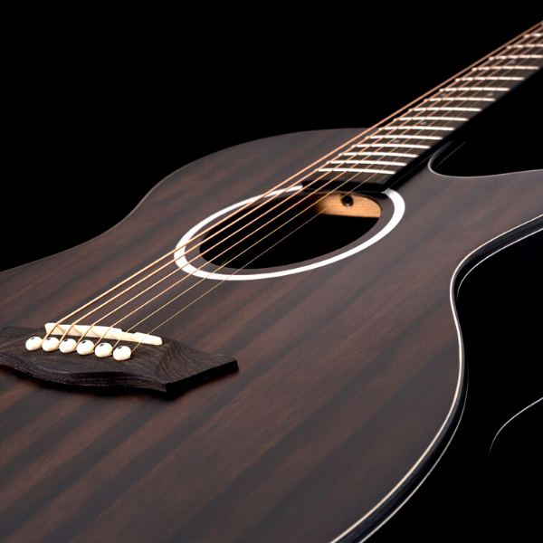 Washburn-Auditorium Body W/ Cutaway Deep Forest Ebony Ace