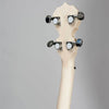 Deering Banjo Goodtime Five String Open Back G Model w/ Scoop Option