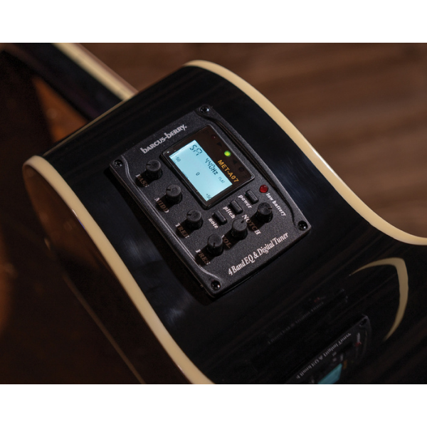 Washburn Guitars 24" Scale Mini Jumbo Dreadnought Acoustic Electric