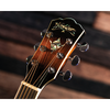 Washburn Guitars Dreadnought Mini Jumbo Acoustic-Electric Tobacco Burst