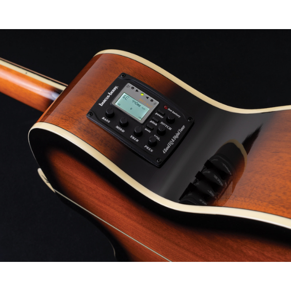 Washburn Guitars Dreadnought Mini Jumbo Acoustic-Electric Tobacco Burst