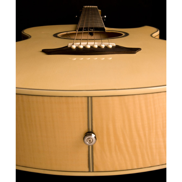 Washburn EA20 Festival Series Cutaway Acoustic Electric Guitar