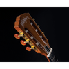Washburn Festival Series Nylon String Cutaway Classical Acoustic Electric Guitar