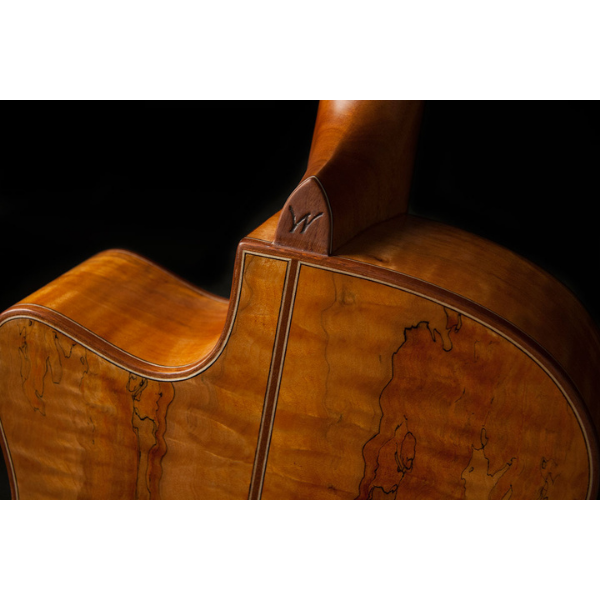 Washburn Comfort Deluxe 66 Auditorium Cutaway Acoustic Electric Grand Guitar