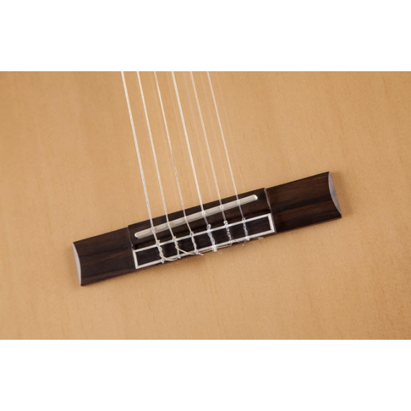 Jasmine JC25 Acoustic Guitar Venetian-Style Cutaway