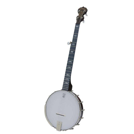 Deering Banjo Goodtime AG