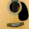 J Reynolds Dreadnought Acoustic Guitar