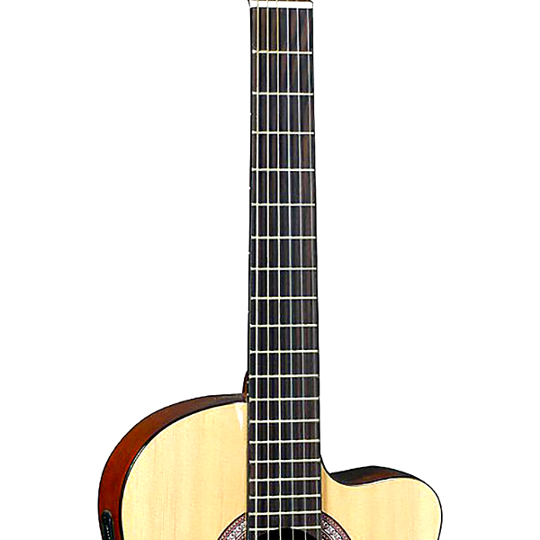 J Reynolds Nylon String Acoustic-Electric Classical Guitar