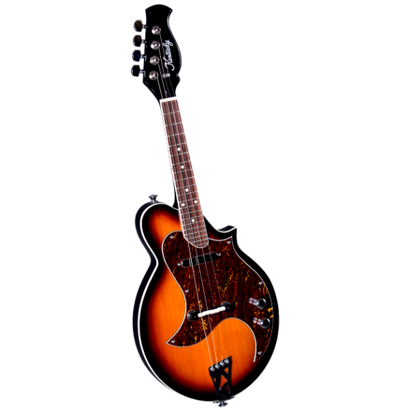 Kentucky KM-300E 4-String Electric Mandolin