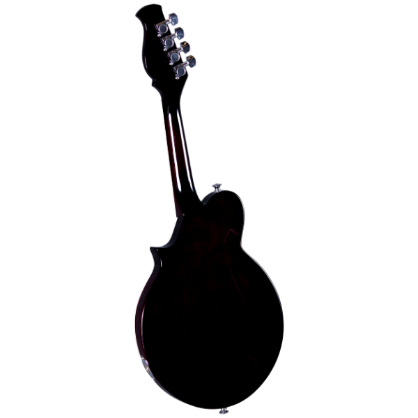 Kentucky KM-300E 4-String Electric Mandolin