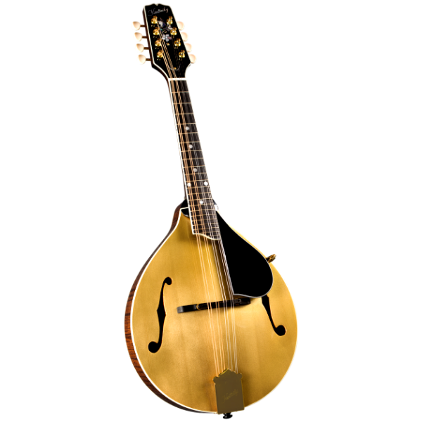 Kentucky KM-508 Artist A-Model Mandolin