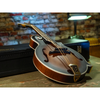 Washburn Guitars Florentine Vintage F-Style Mandolin with Case
