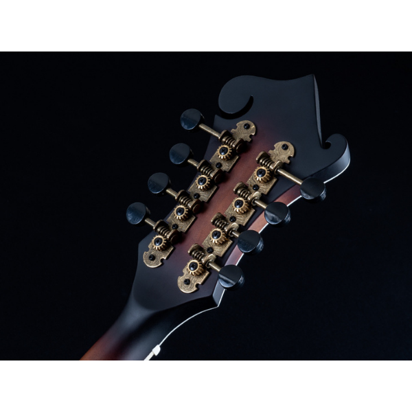 Washburn Guitars Florentine Vintage F-Style Mandolin with Case